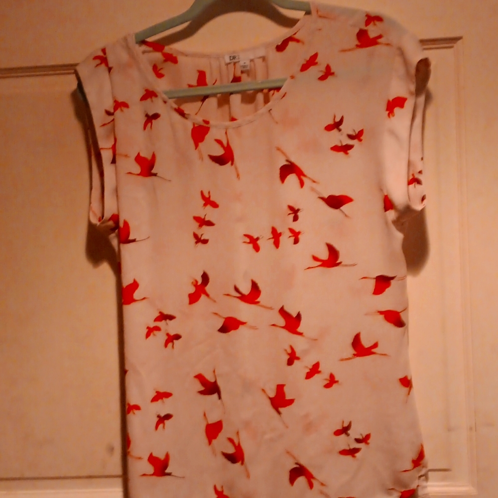 Sheer Crain flying blouse